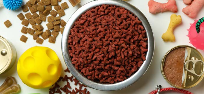 pet supply - snacks